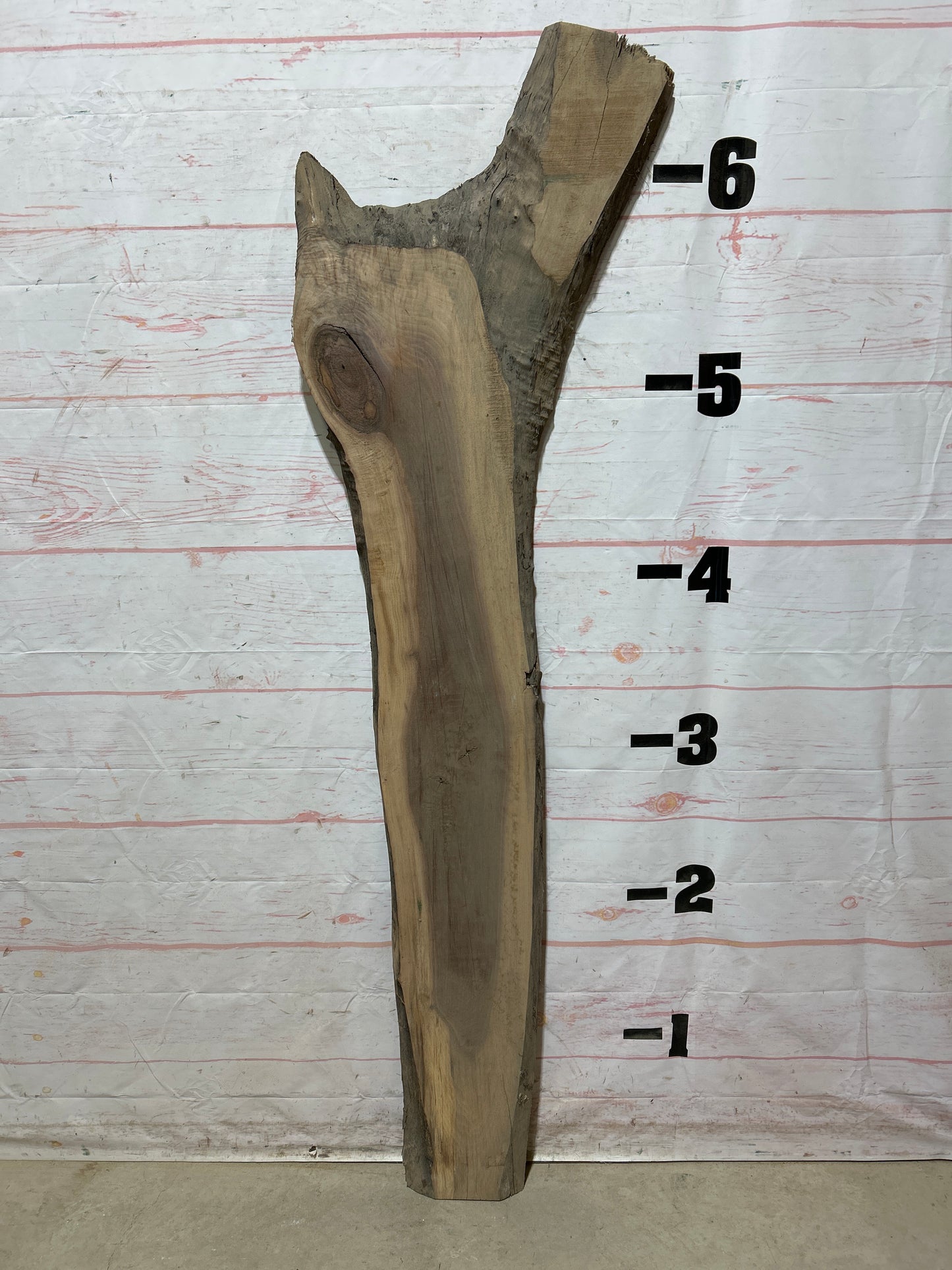 Live Edge Walnut Sku#26828M-11