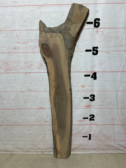 Live Edge Walnut Sku#26828M-11