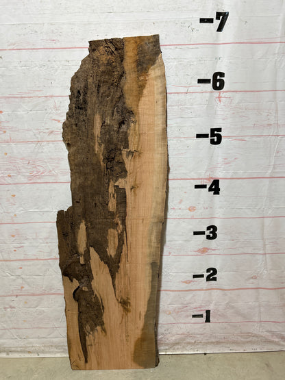 Live Edge Cherry Sku#26875H-26