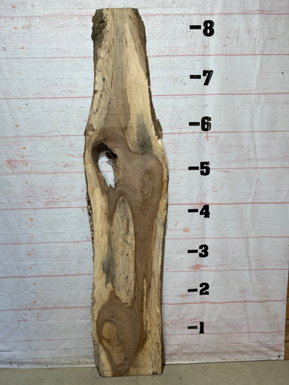 Live Edge English Walnut Sku#26939G-19