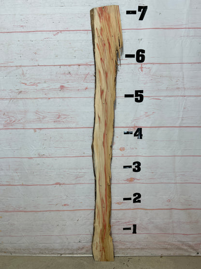 Live Edge Box Elder Sku#25734D-6