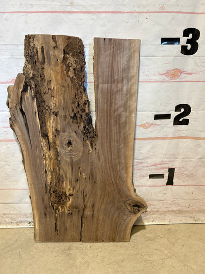 Live Edge Walnut Sku#26982M-10