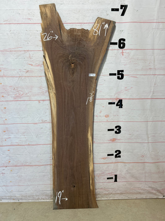 Live Edge Walnut Sku#26041A-26