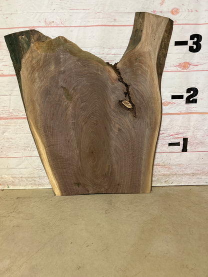 Live Edge Walnut Sku#24163N-12