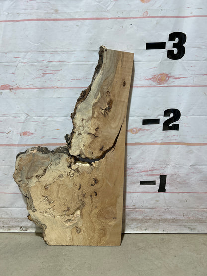 Live Edge Maple Sku#27098M-4