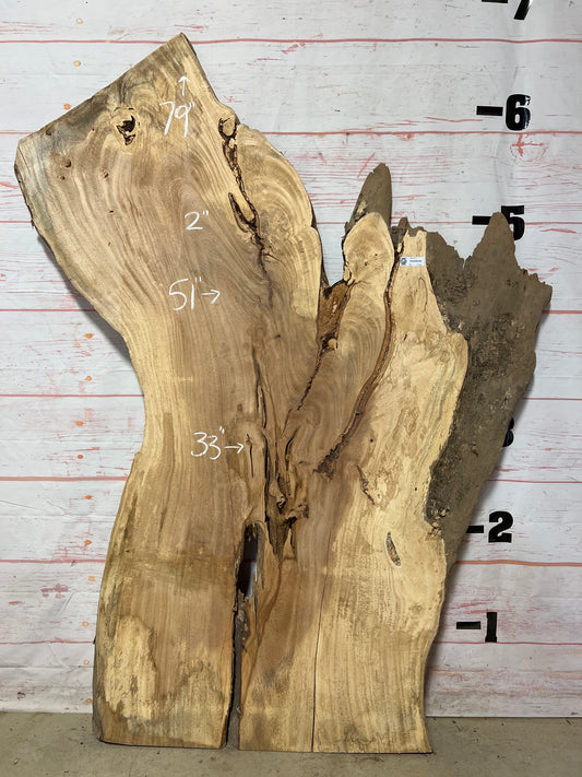 Live Edge Palm Sku# 21037-36