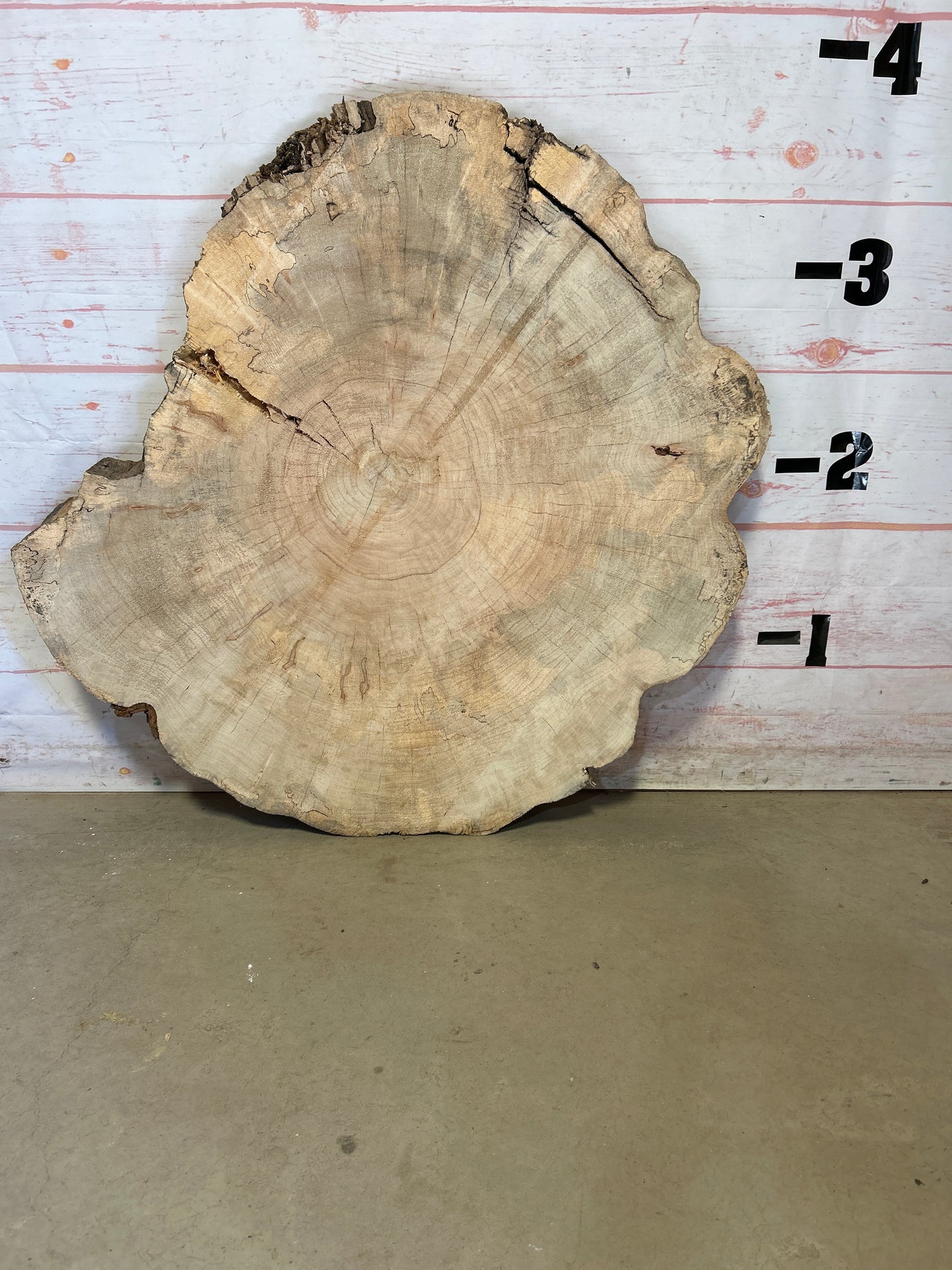 Live Edge Maple Cookie #24004M