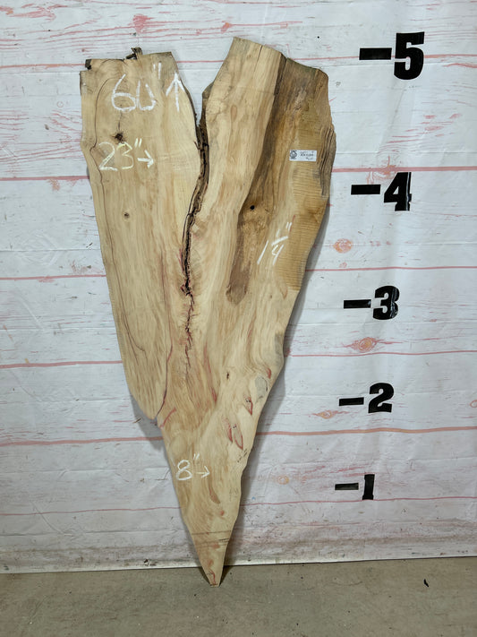Live Edge Box Elder Sku#26891M-8