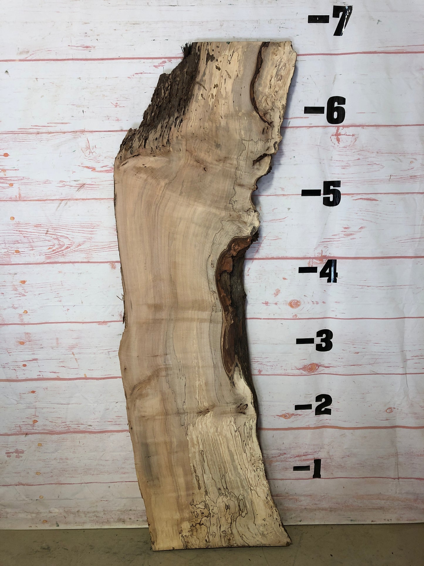 Live Edge Spalted Maple Sku# 22281E-25