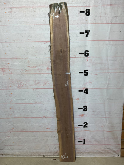Live Edge Walnut Sku#26413M-11