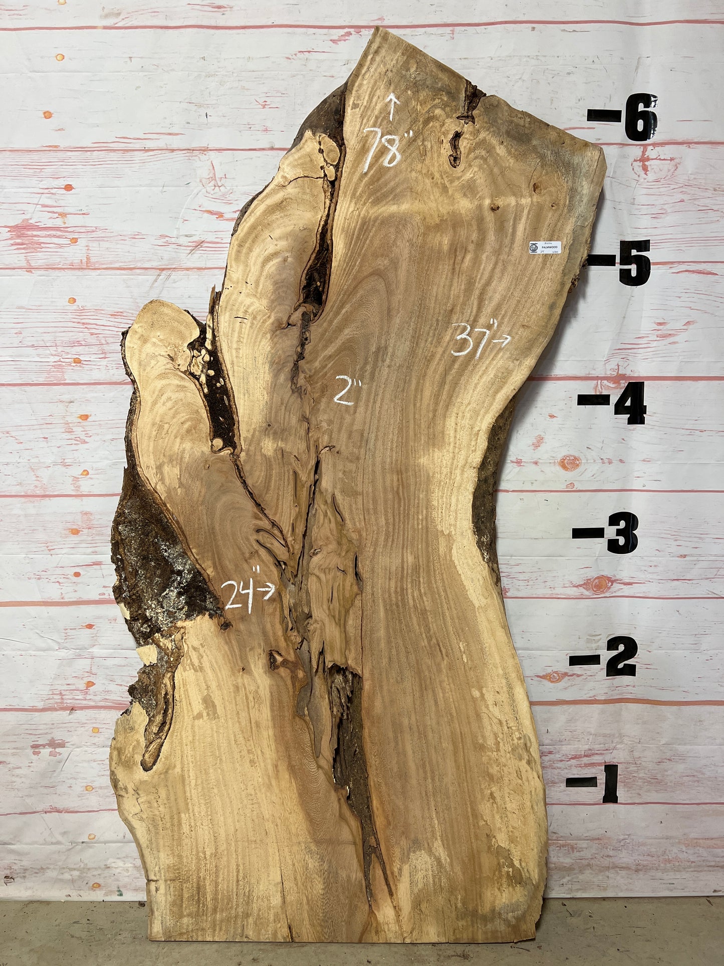 Live Edge Palm Sku# 21036-29