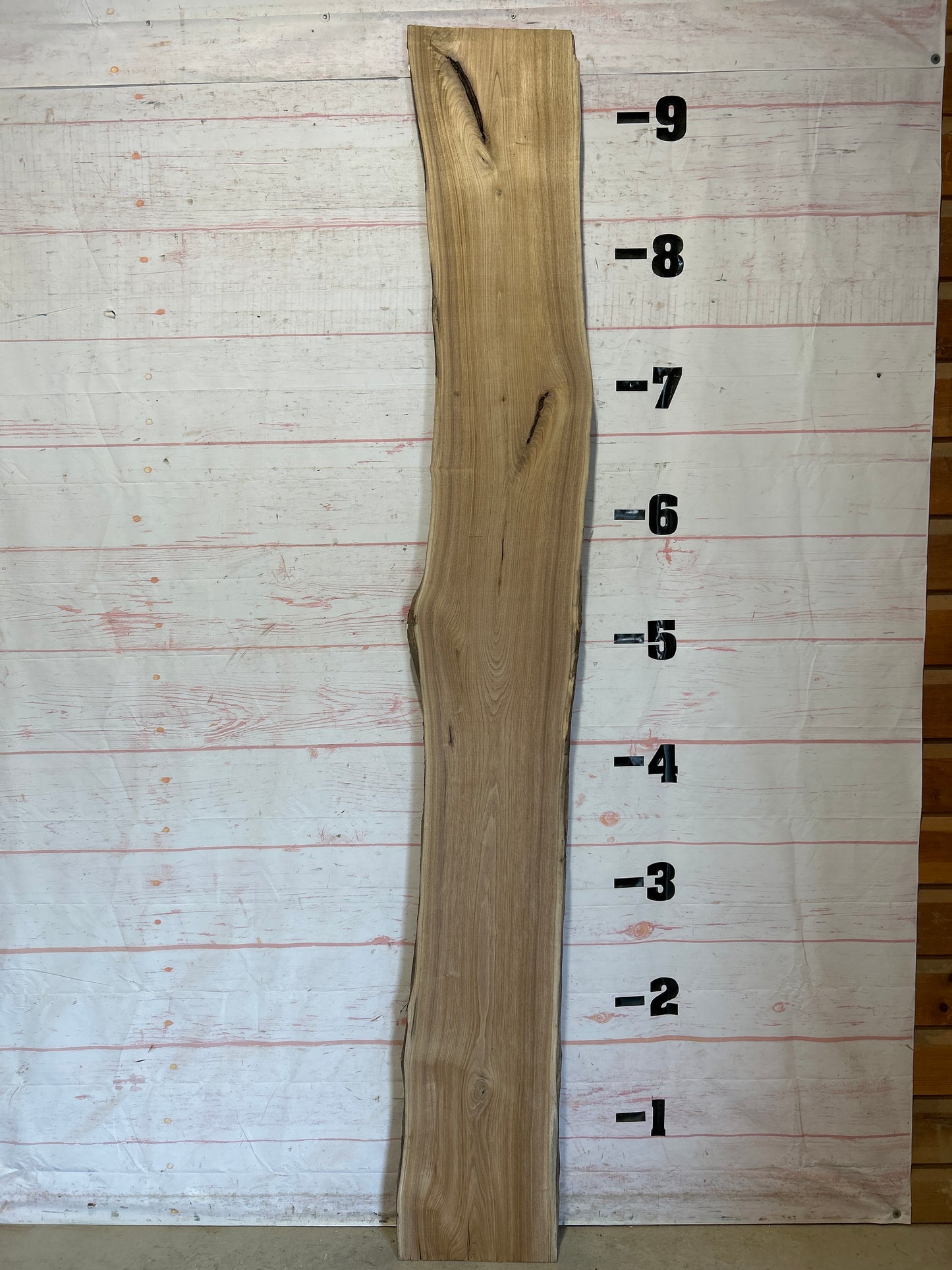 Live Edge Butternut Sku#25943-19
