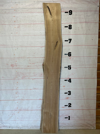Live Edge Butternut Sku#25943-19