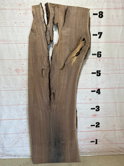 Live Edge Walnut Sku#26289-48