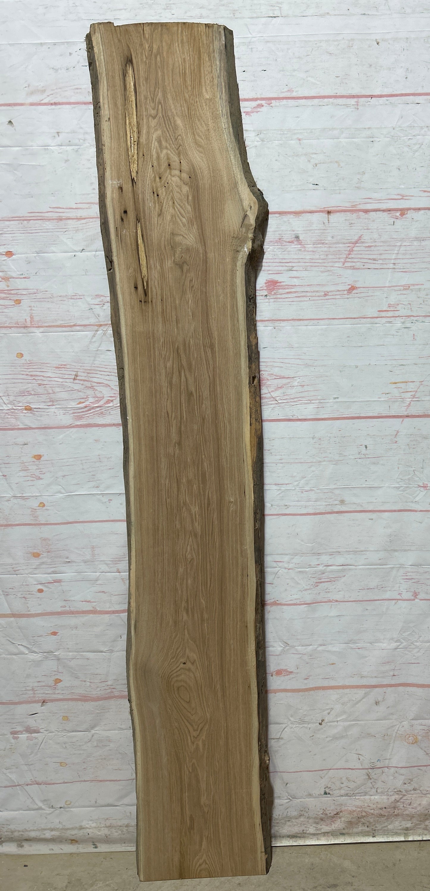 Live Edge Butternut Sku#25942-12