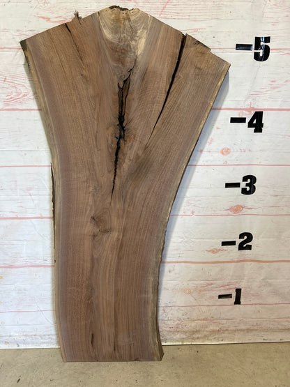 Live Edge Walnut Sku#26350A-24