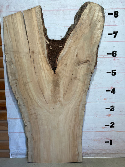 Live Edge Maple Sku#26375-69