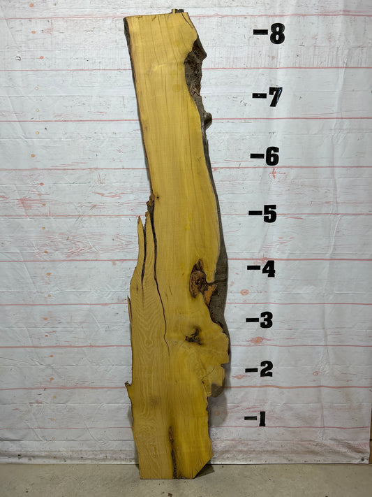 Live Edge Osage Orange Sku#27039B-23