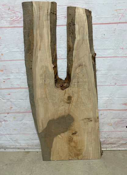 Live Edge Maple Sku#26710E-13