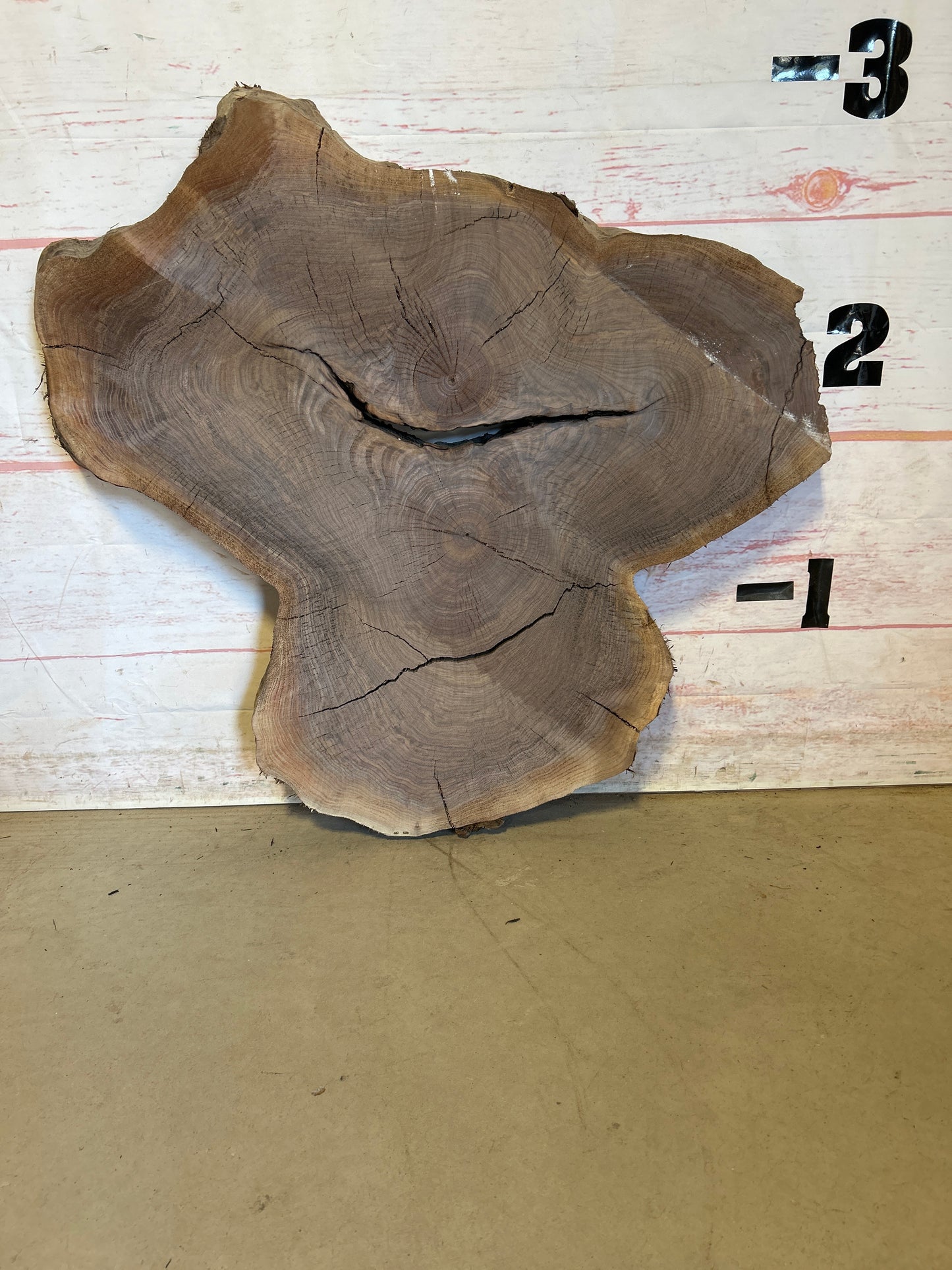 Live Edge Walnut Cookie#24022M