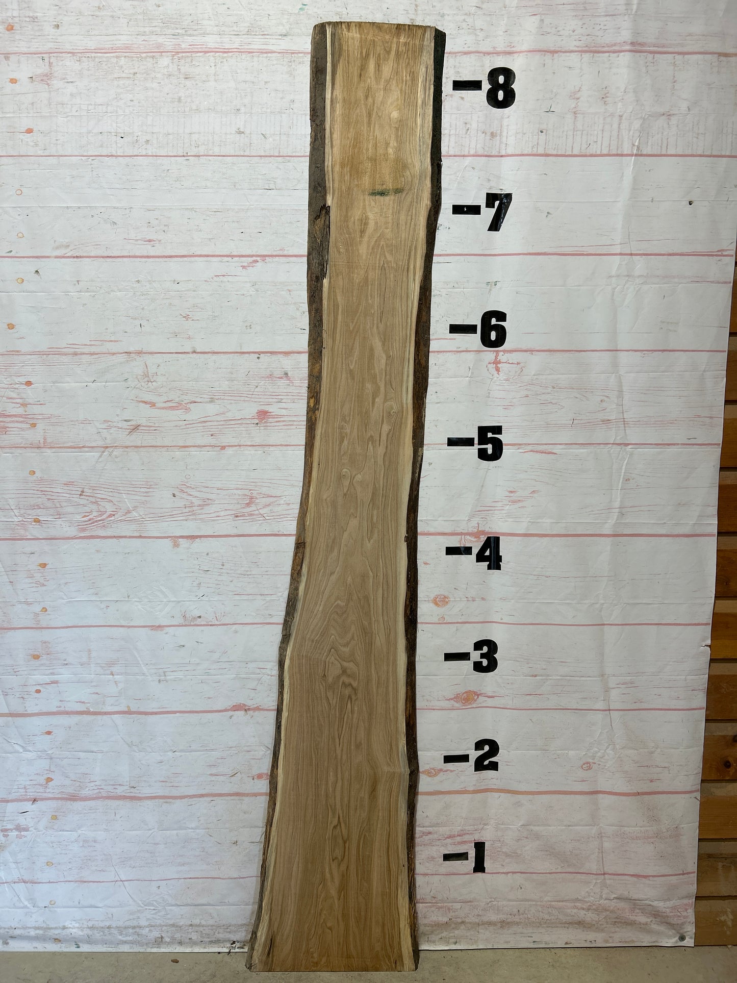 Live Edge Butternut Sku#26320C-16