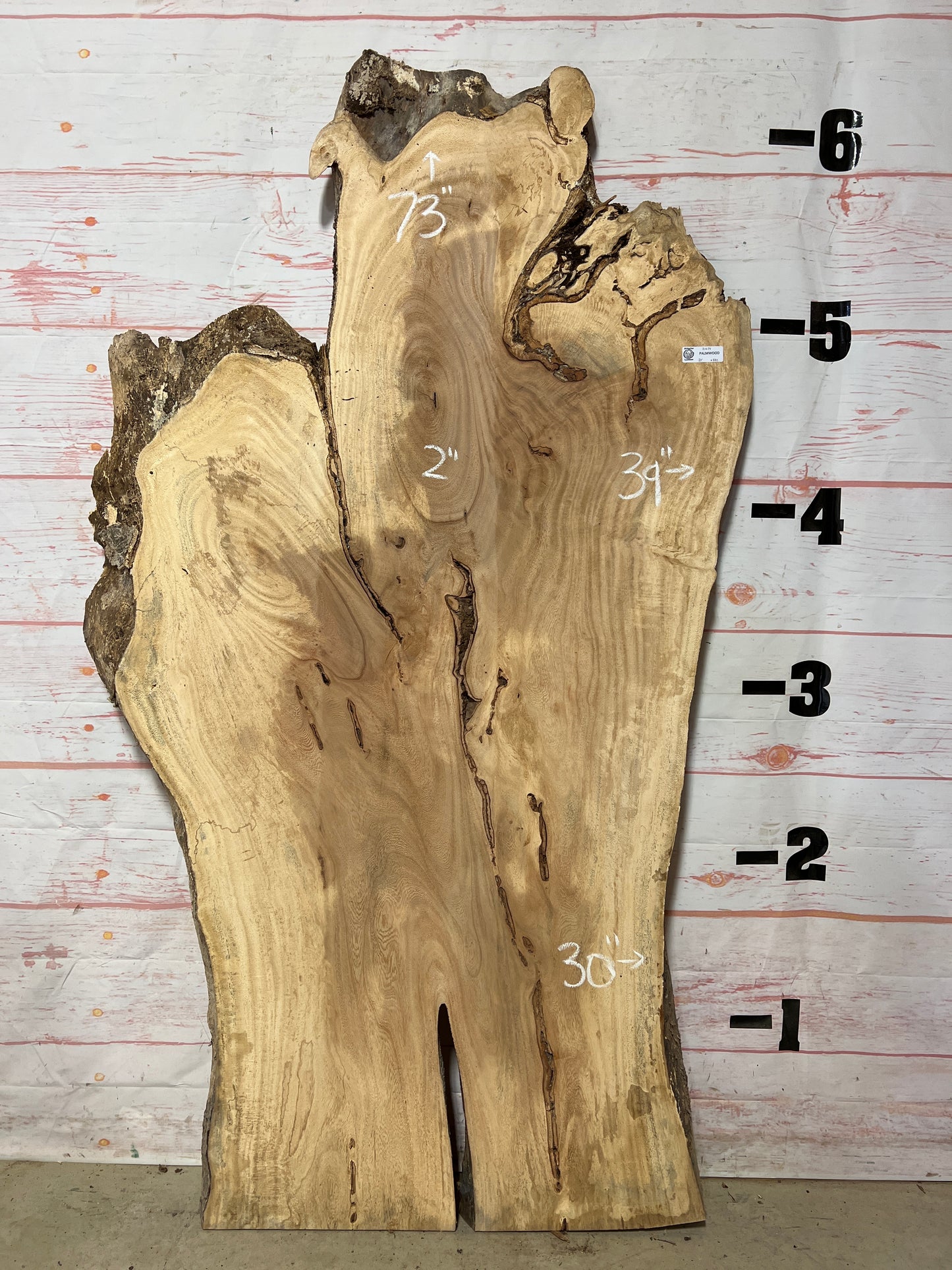 Live Edge Palm Sku# 21034-32