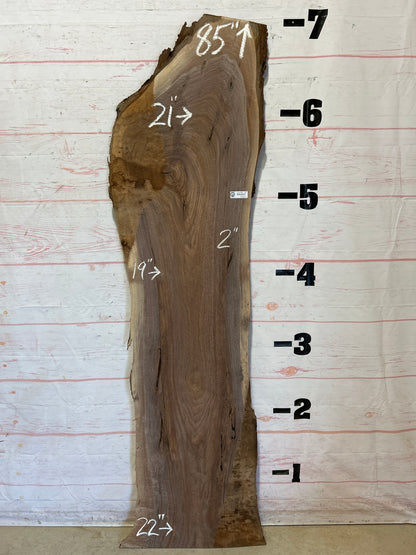 Live Edge Walnut Sku#26058J-24