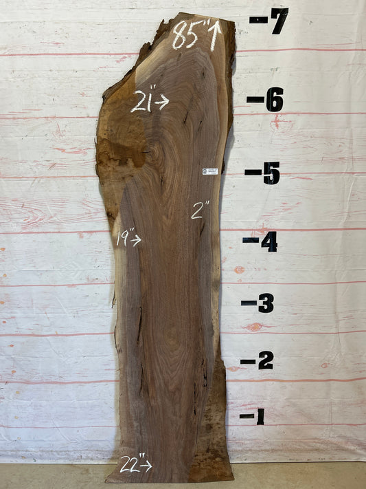 Live Edge Walnut Sku#26058J-24