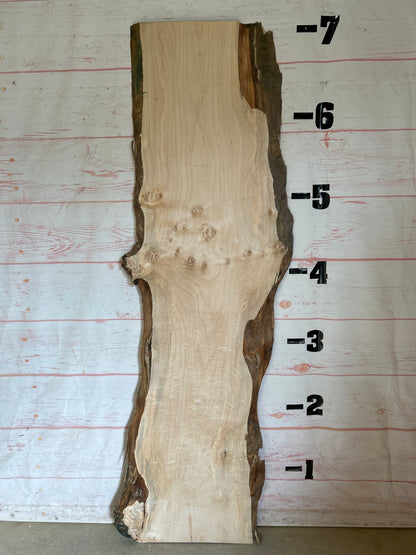 Live Edge Maple Sku#24674E-21