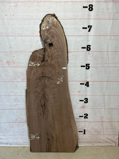 Live Edge Walnut Sku#27156-33