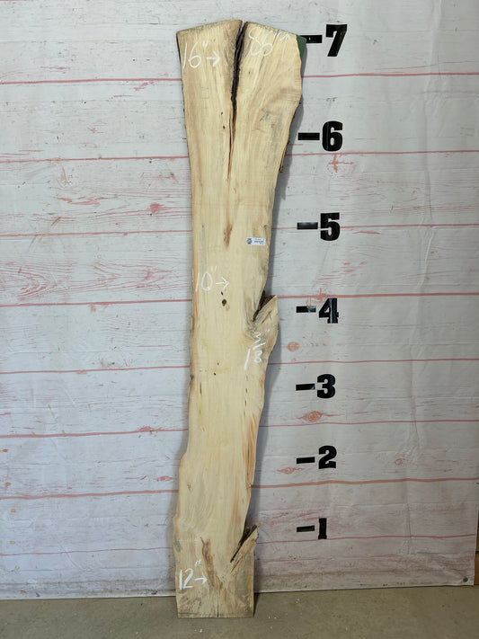 Live Edge Box Elder Sku#25703D-12