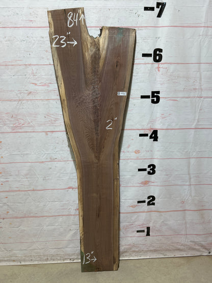 Live Edge Walnut Sku#27074G-20