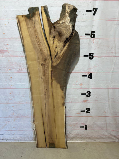 Live Edge Mulberry Sku#27105-31