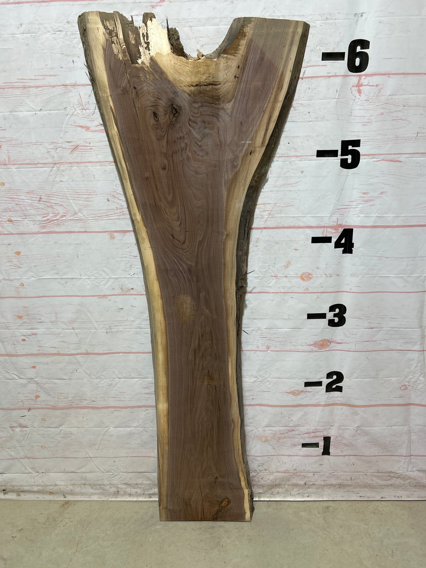 Live Edge Walnut Sku#26827M-18