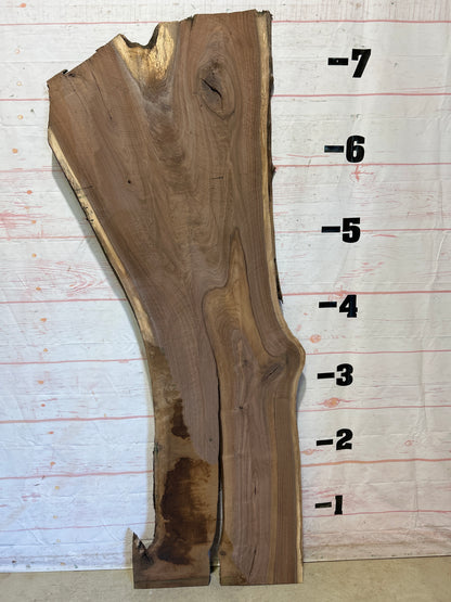 Live Edge Walnut Sku#25871-36