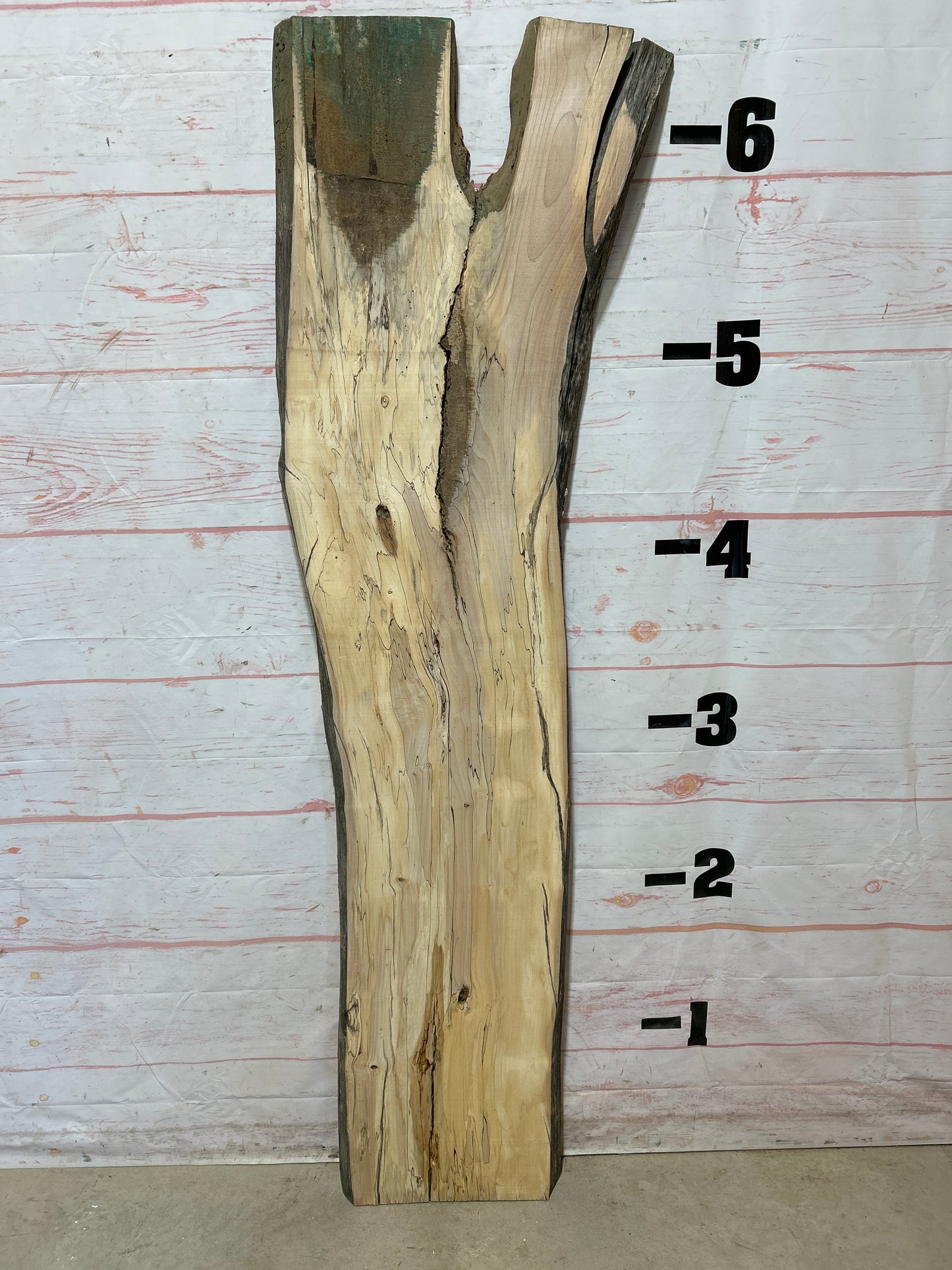 Live Edge Spalted Maple Sku#25276B-21