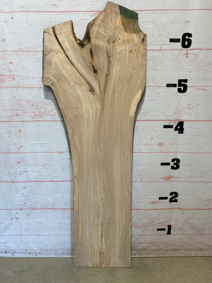 Live Edge Maple Sku#26165B-24