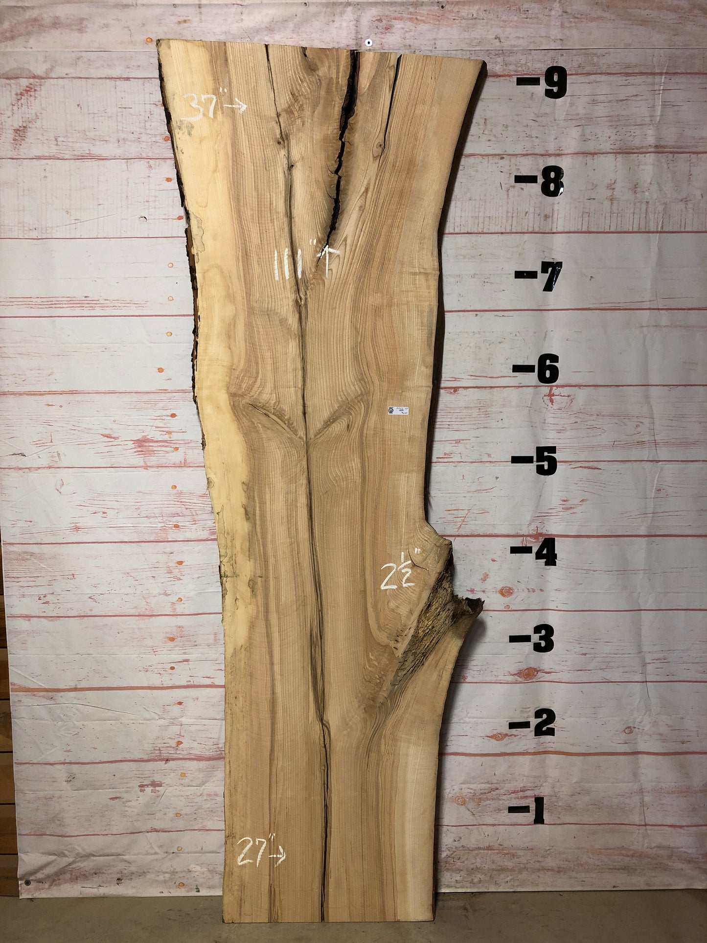 Live Edge Ash SKU# 21227-62