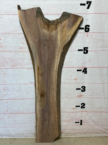 Live Edge Walnut Sku#26042A-28
