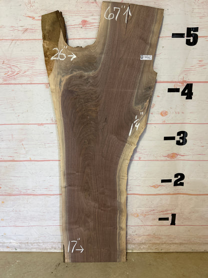 Live Edge Walnut Sku#25239M-13
