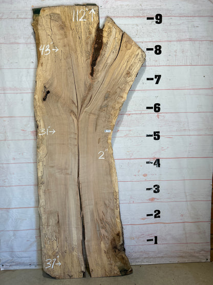 Live Edge Maple Sku#26267-58