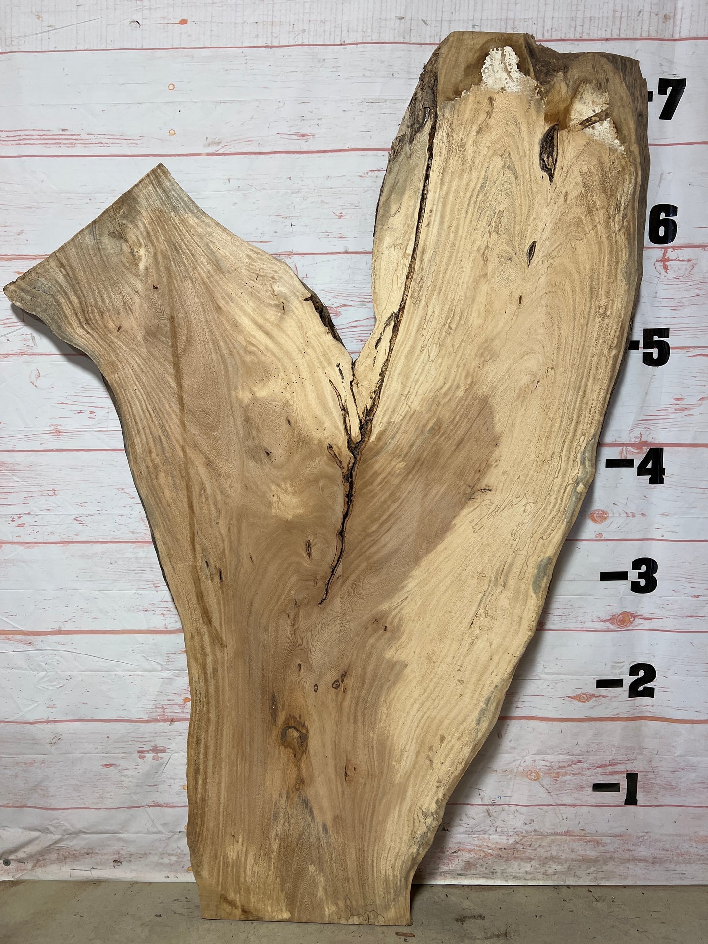 Live Edge Palm Sku# 21031-36