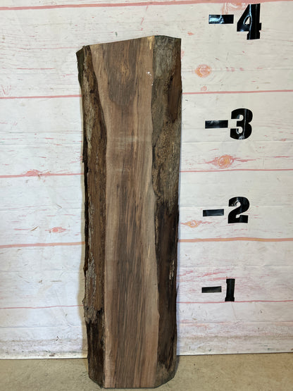 Live Edge Walnut Sku#26211A-8