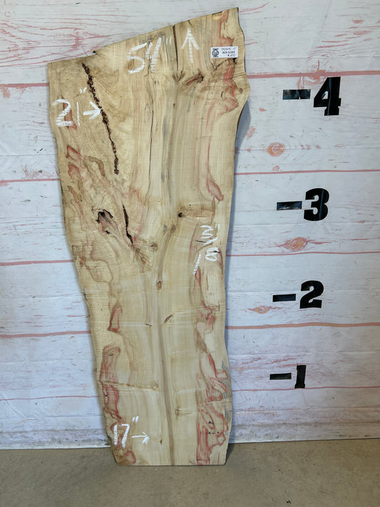 Live Edge Box Elder Sku#25345M-11