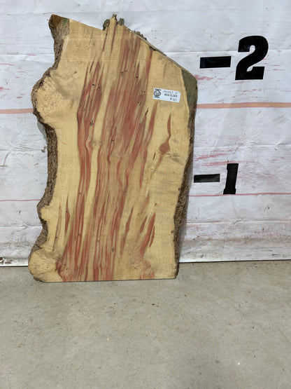 Live Edge Box Elder Sku#26552M-5