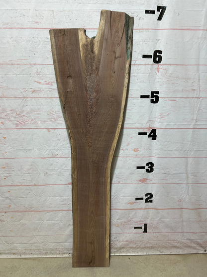 Live Edge Walnut Sku#27074G-20