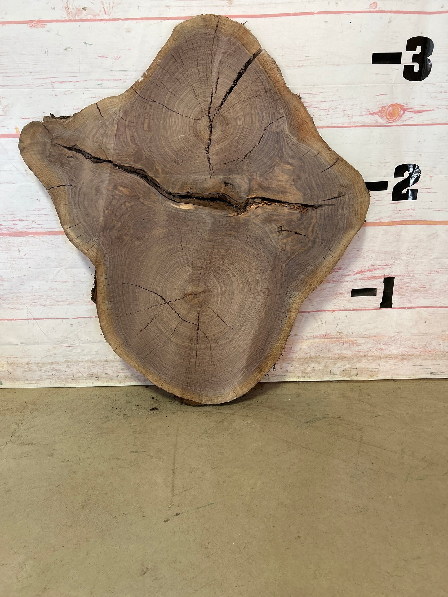 Live Edge Walnut Cookie Sku# 23865M