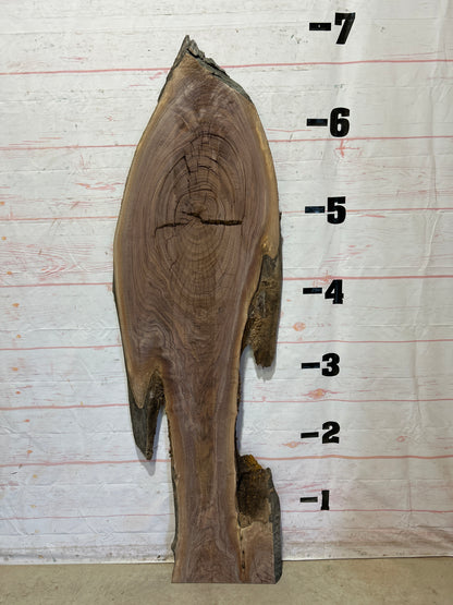 Live Edge Walnut Sku#26967F-23