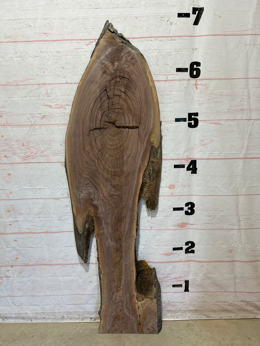 Live Edge Walnut Sku#26967F-23