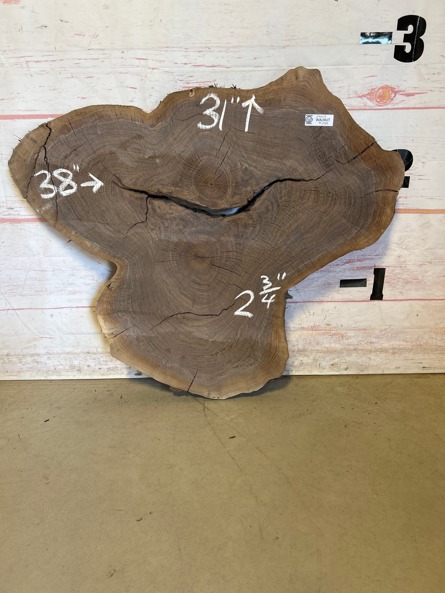 Live Edge Walnut Cookie#24023M